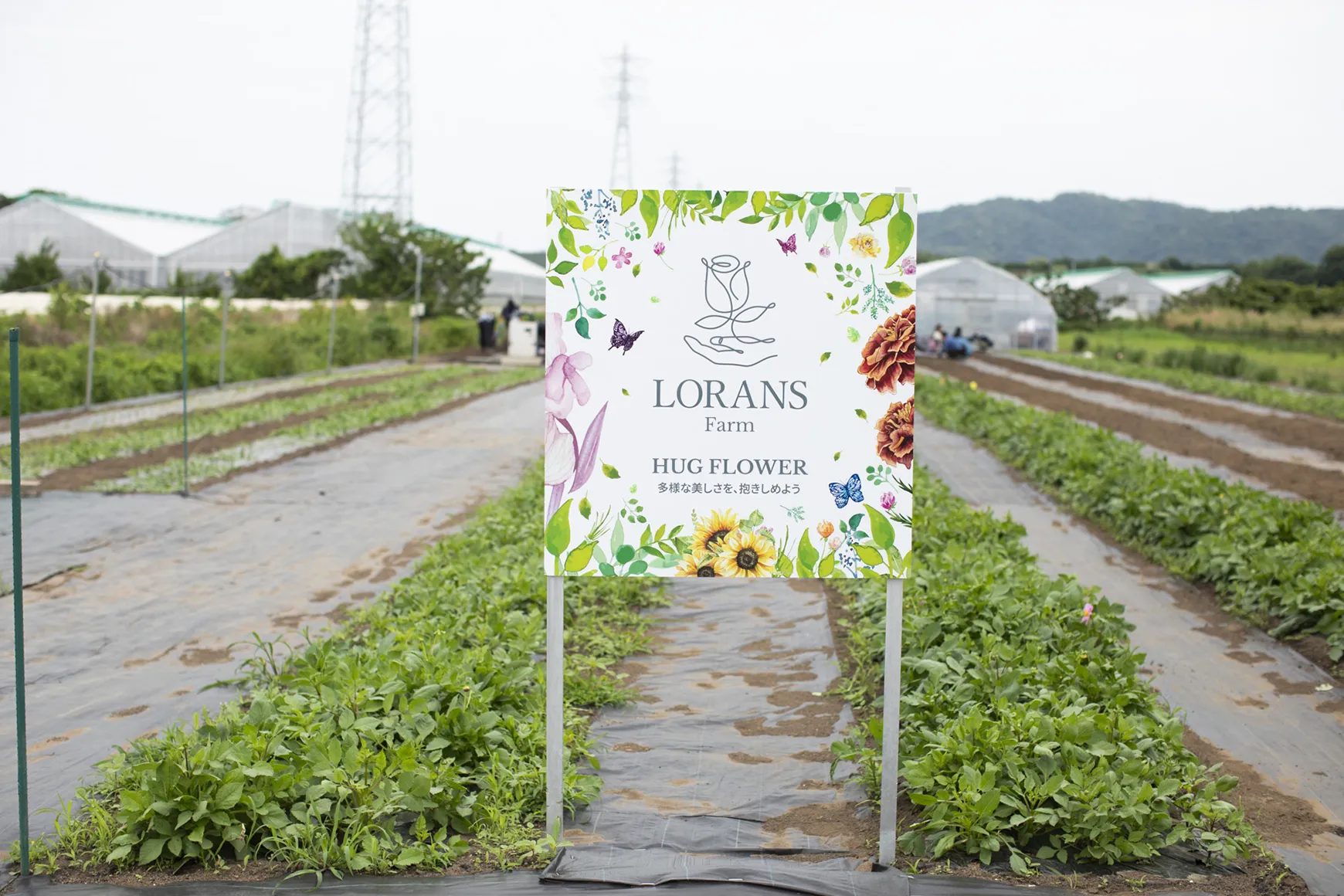 花も人も、ありのままに咲く。横須賀・ローランズファームの挑戦