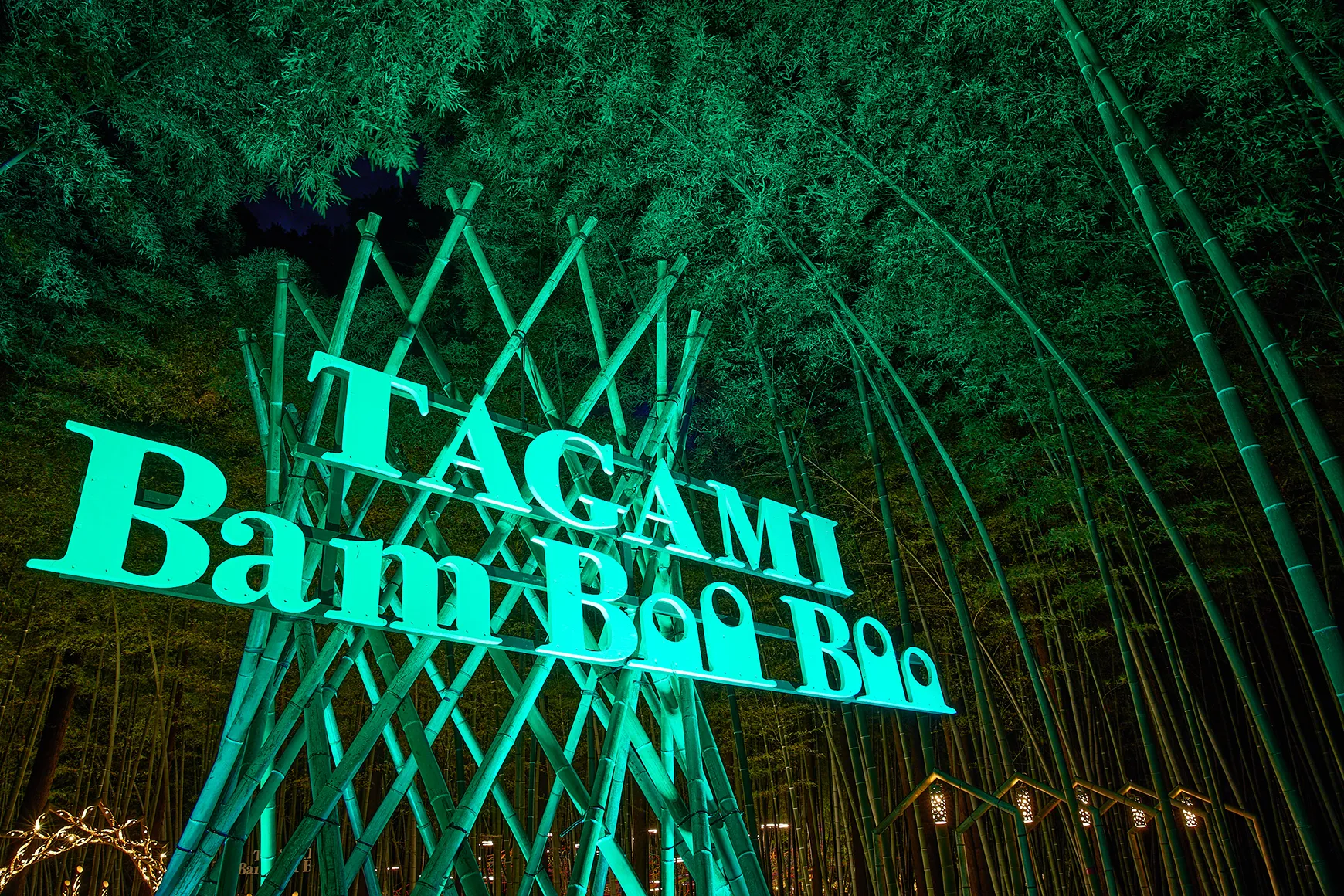 竹と光のページェント、新潟・国際田上竹祭 たがみバンブーブー2025