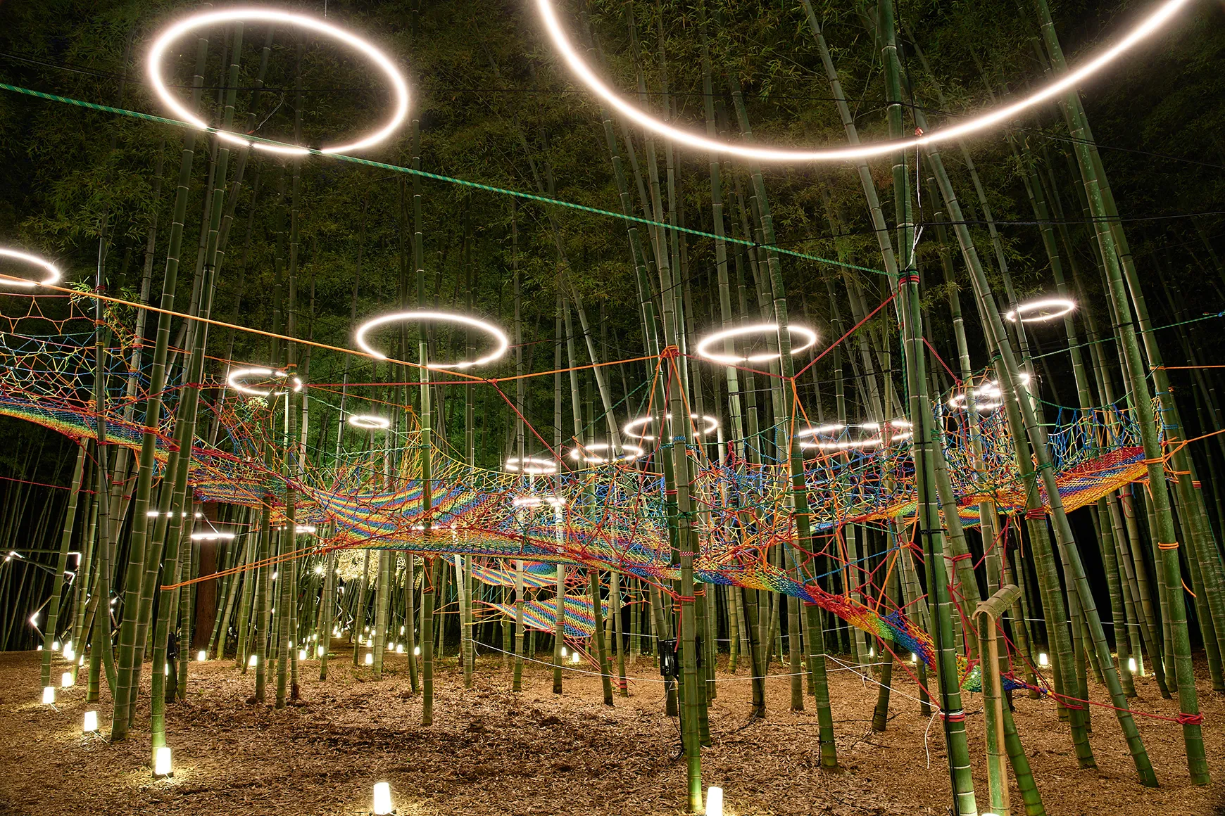 竹と光のページェント、新潟・国際田上竹祭 たがみバンブーブー2025