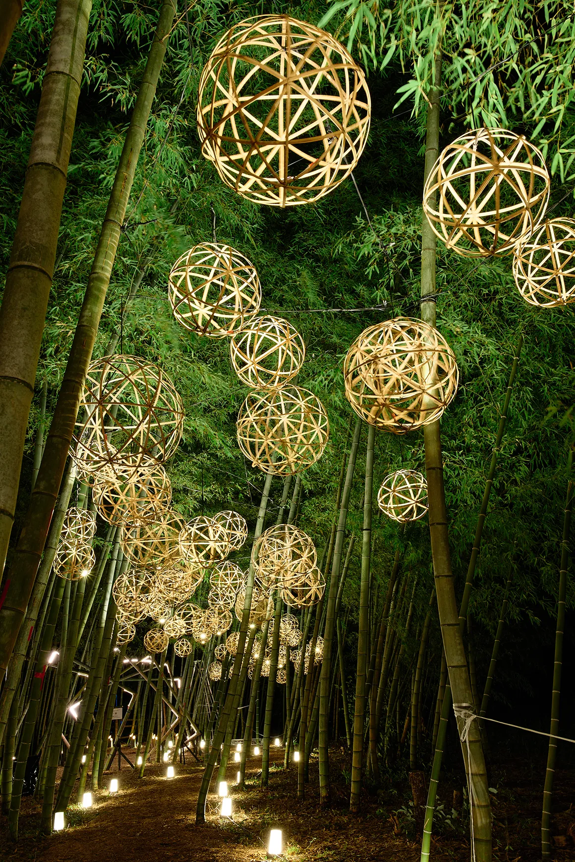 竹と光のページェント、新潟・国際田上竹祭 たがみバンブーブー2025