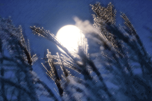 仙石原の月④